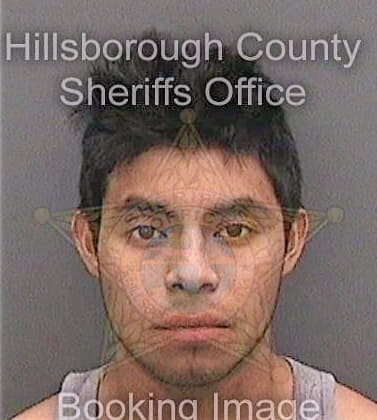 Guzmanlopez Pedro - Hillsborough County, FL 