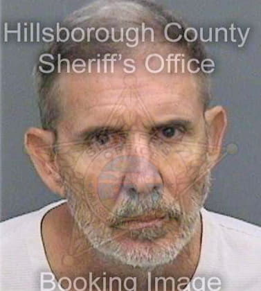 Mcelmurray William - Hillsborough County, FL 