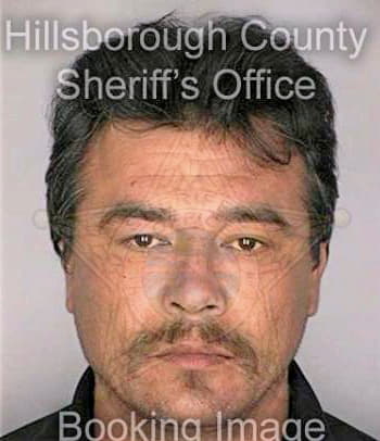 Gonzalez Ricardo - Hillsborough County, FL 