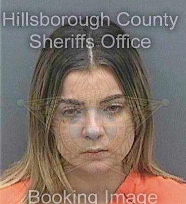 Davidson Taylor - Hillsborough County, FL 