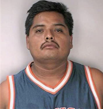 Velascosilva Agustin - Hillsborough County, FL 