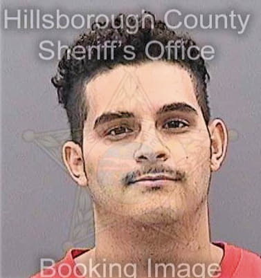 Ramirezrodriguez Sebastian - Hillsborough County, FL 