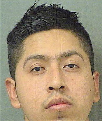 Trejoramirez Jose - PalmBeach County, FL 