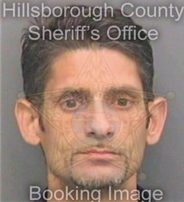 Sanchez Teodoro - Hillsborough County, FL 