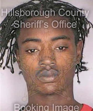 Jenkins Donald - Hillsborough County, FL 