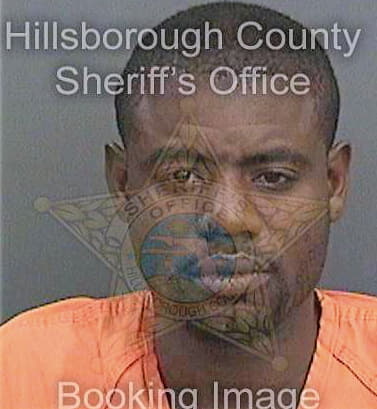 Reed Lewis - Hillsborough County, FL 