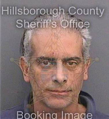 Lopez Hjalmar - Hillsborough County, FL 