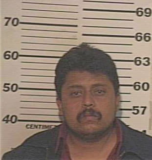 Hernandez Reymundo - Hidalgo County, TX 