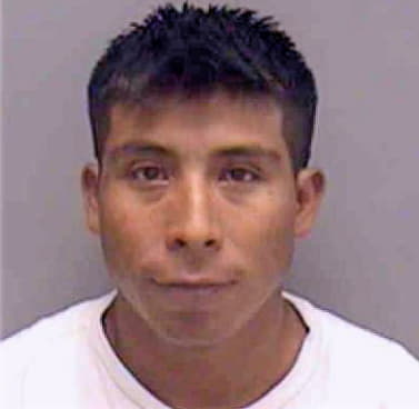 Hernandez Roberto - Lee County, FL 