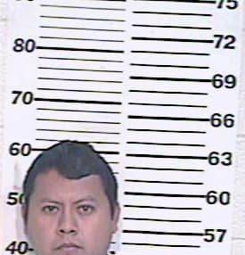 Hernandez Sergio - Hidalgo County, TX 