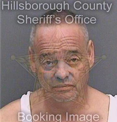 Collazo Richard - Hillsborough County, FL 