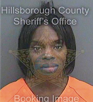 Mcclinton Tamara - Hillsborough County, FL 