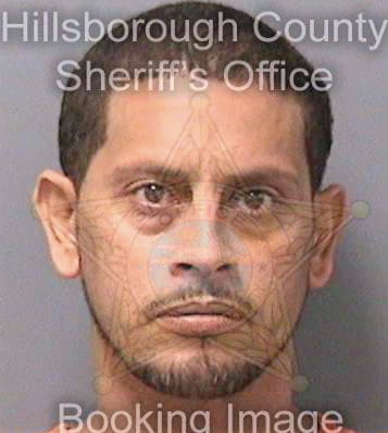 Lizardirivera Alexander - Hillsborough County, FL 