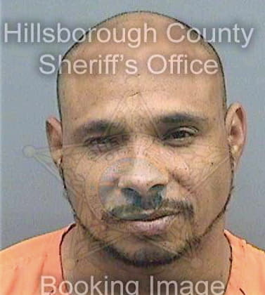 Ortiz Santos - Hillsborough County, FL 