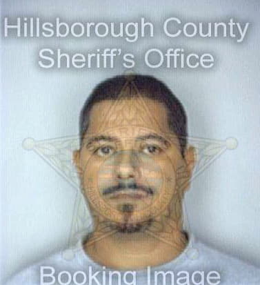 Hernandez Enrique - Hillsborough County, FL 