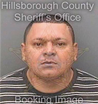 Borjas Jose - Hillsborough County, FL 