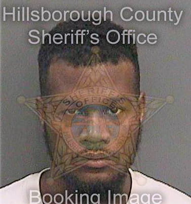 Haggins Javaris - Hillsborough County, FL 