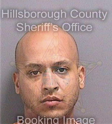 Cirinoortiz Bryan - Hillsborough County, FL 