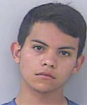 Vicente Johnathan - StLucie County, FL 
