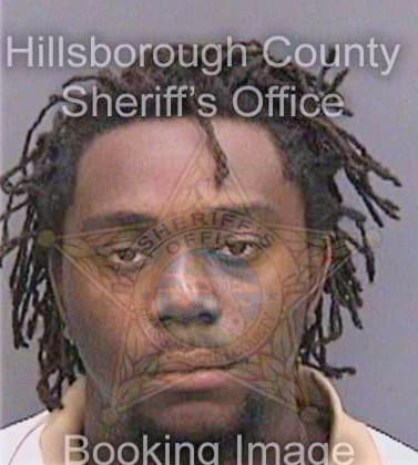 Nelson Dashawn - Hillsborough County, FL 