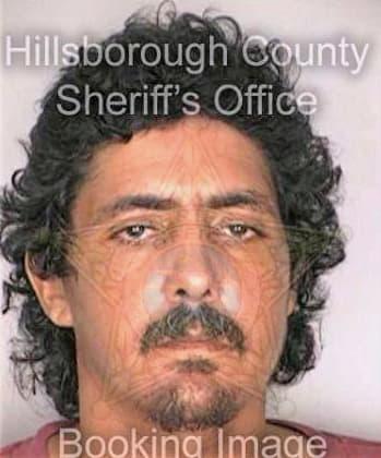 Guzmangonzalez Carlos - Hillsborough County, FL 