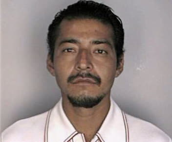 Mendezlorenzana Isidro - Hillsborough County, FL 