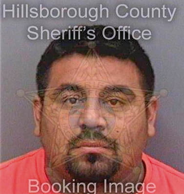 Felixcordova Jorge - Hillsborough County, FL 