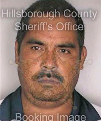 Maldonado Jose - Hillsborough County, FL 