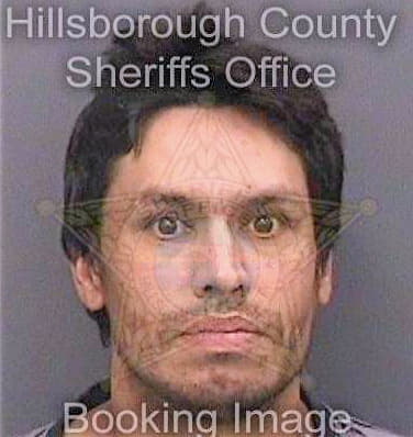 Trevino Luis - Hillsborough County, FL 