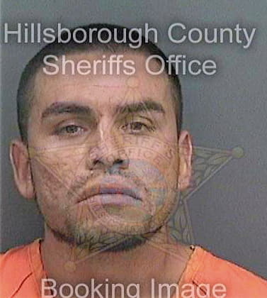 Hurtadotrejo Juan - Hillsborough County, FL 