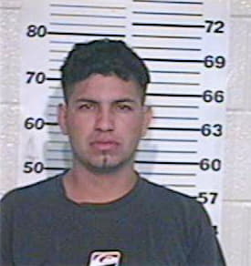 Vargas Ivan - Hidalgo County, TX 