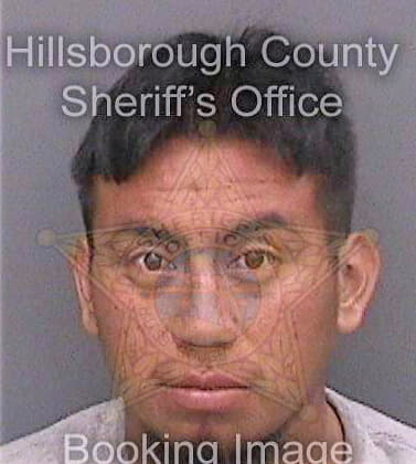 Mendez Ricky - Hillsborough County, FL 