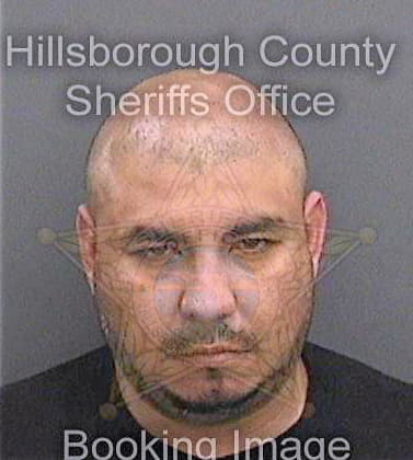 Conde David - Hillsborough County, FL 