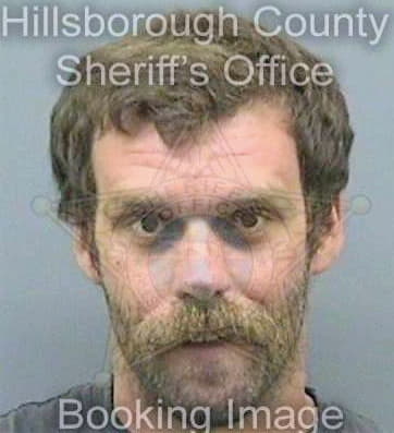 Dichristofaro James - Hillsborough County, FL 