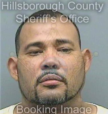 Silverio Ramon - Hillsborough County, FL 