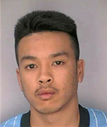 Nguyen Michael - Hillsborough County, FL 