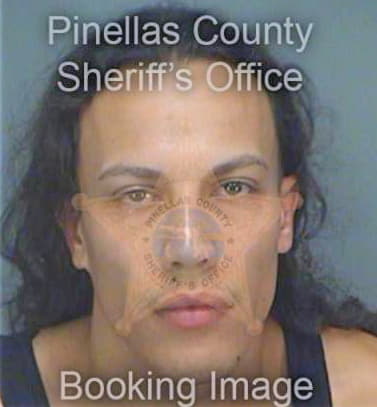 Rentas Miguel - Pinellas County, FL 