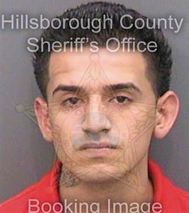 Perez Eduardo - Hillsborough County, FL 