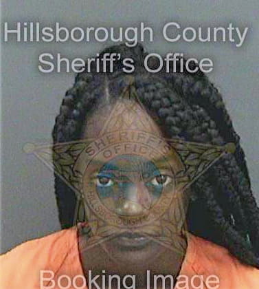 Bowman Sierra - Hillsborough County, FL 