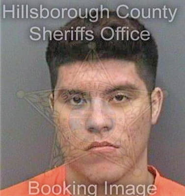 Benitez Heriberto - Hillsborough County, FL 