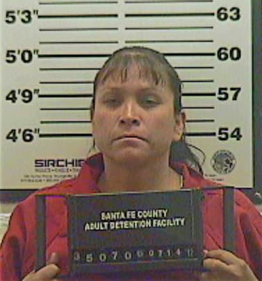 Bailon Elvira - SantaFe County, NM 