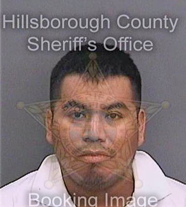 Castrosantiago Florentino - Hillsborough County, FL 