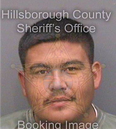 Sierra Domingo - Hillsborough County, FL 