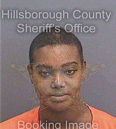 Martin Tiffany - Hillsborough County, FL 