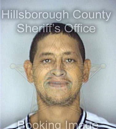 Lizardirivera Oscar - Hillsborough County, FL 