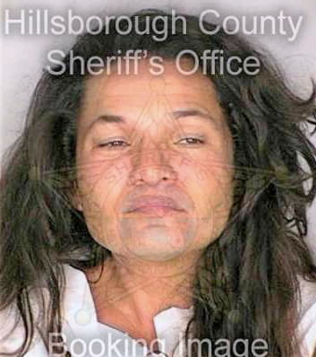Sinclair Sara - Hillsborough County, FL 