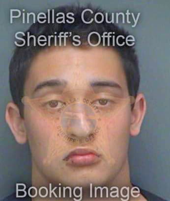 Dillon Zachary - Pinellas County, FL 