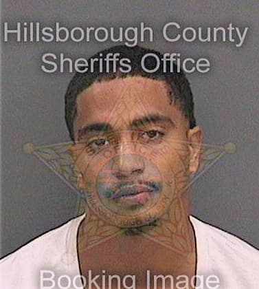 Mcghee Denzel - Hillsborough County, FL 