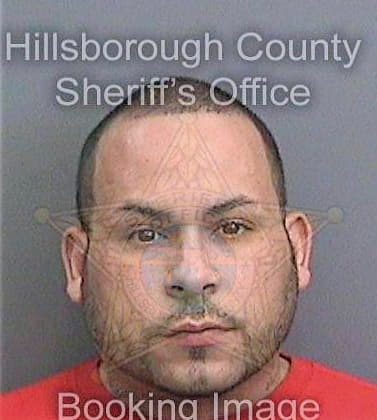 Sotomojica Roberto - Hillsborough County, FL 