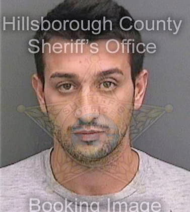 Tebaldi Nicholas - Hillsborough County, FL 